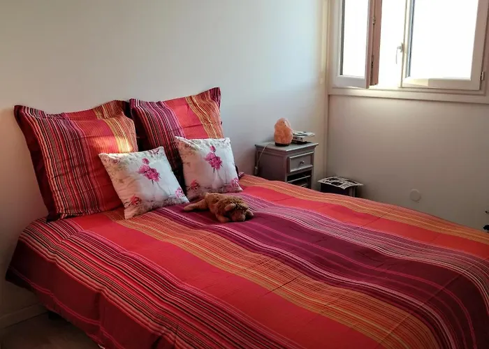 Les Jardins De La * 생트막시메