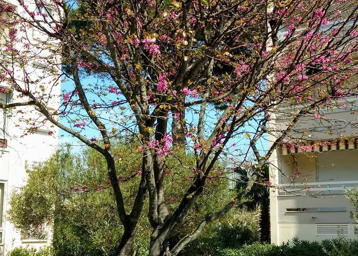 Les Jardins De La דירה